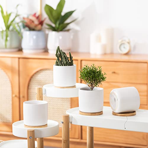 OMAYKEY 4 Inch Ceramic Plant Pot with Bamboo Saucer, White Planters Pots with Drainage Hole and Mesh Pads for Succulent, Snake, Cactus, Herbs - 4 Packs(Plant Not Included)