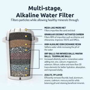 Invigorated Water pH RECHARGE 1F Countertop Alkaline Water Filter PLUS PH001 3-Pack + PH002 1pk Replacement Water Filters Bundle