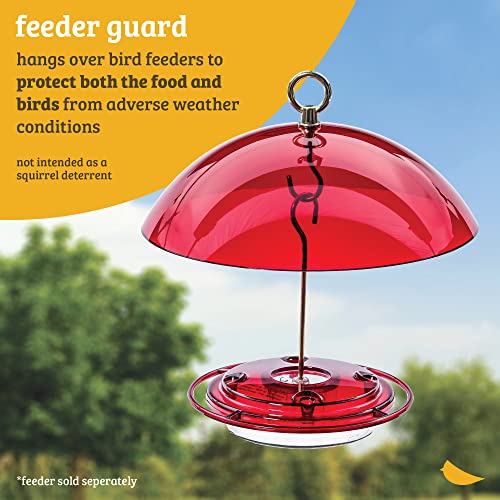 Birds Choice DOME Protective Dome, Protective Cover for Hanging Bird Feeders, 10", Clear