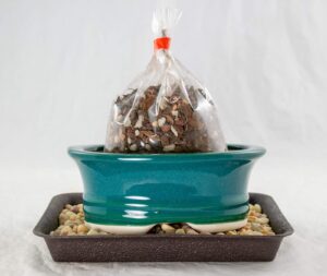 5.75" oval teal green bonsai/succulent pot + soil + tray + rock + mesh kit