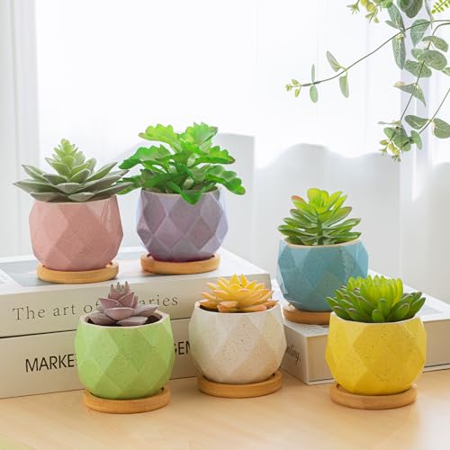 Brightdeco Ceramic Succulent Plant Pots Set of 6 - Small Succulent Pots with Drainage Hole Mini Pots for Indoor Plants Ceramic Planter with Bamboo Saucers Home Decor Rhombic