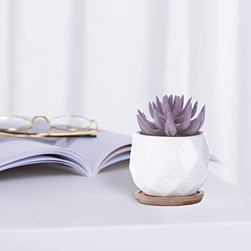 Brightdeco Ceramic Succulent Plant Pots Set of 6 - Small Succulent Pots with Drainage Hole Mini Pots for Indoor Plants Ceramic Planter with Bamboo Saucers Home Decor Rhombic