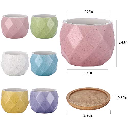 Brightdeco Ceramic Succulent Plant Pots Set of 6 - Small Succulent Pots with Drainage Hole Mini Pots for Indoor Plants Ceramic Planter with Bamboo Saucers Home Decor Rhombic