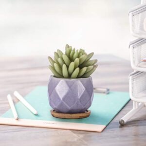 Brightdeco Ceramic Succulent Plant Pots Set of 6 - Small Succulent Pots with Drainage Hole Mini Pots for Indoor Plants Ceramic Planter with Bamboo Saucers Home Decor Rhombic