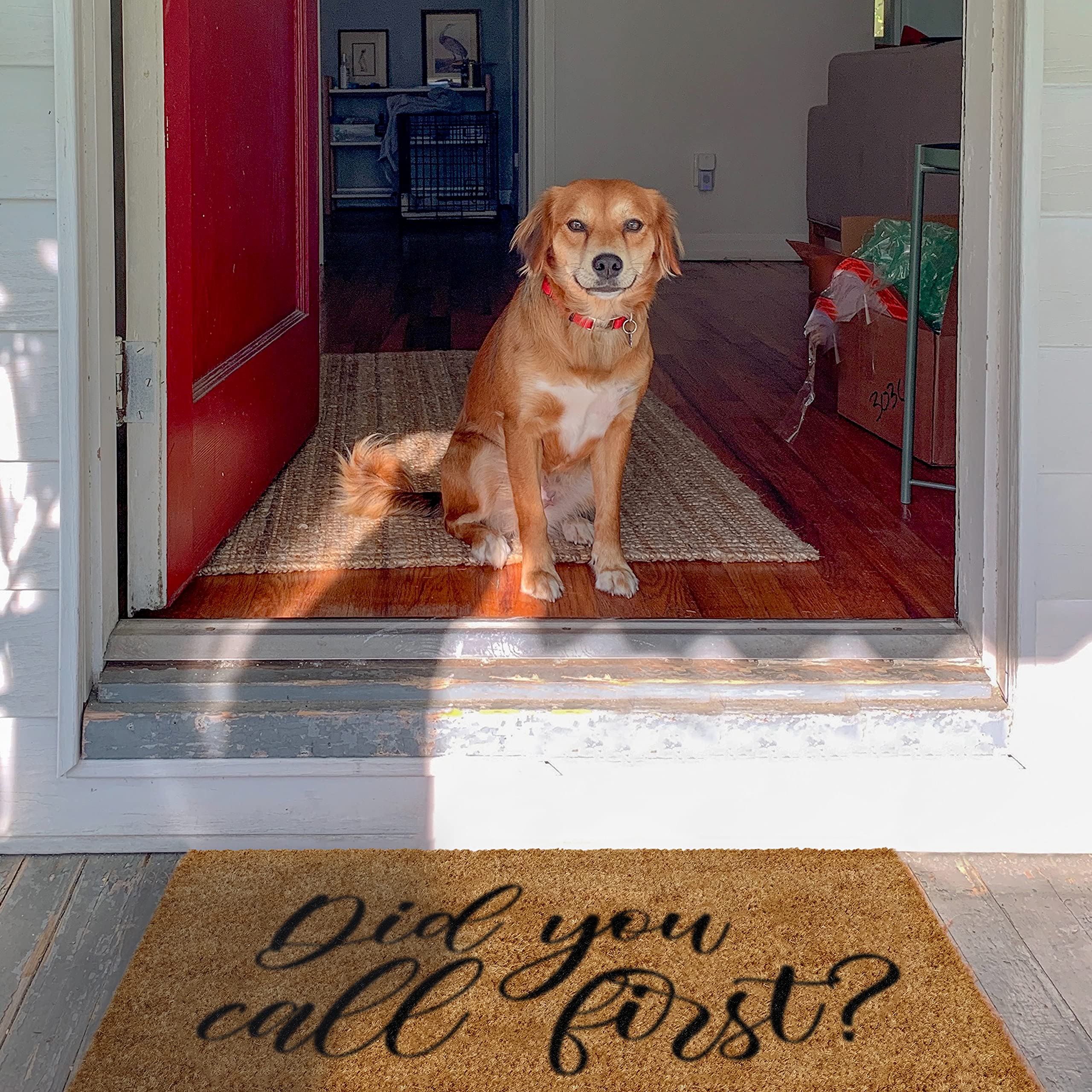 Did You Call First Doormat 30x17 Inches, Did You Call First Welcome Mat Funny, Funny Door Mats Outside, Did You Call Doormat with Nonslip Backing, Did You Call First Outdoor Funny Welcome Mat