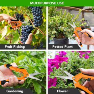 iPower GLPRNR6ORV1 6.5 Inch Gardening Pruning Shears Hand Scissors with Straight Stainless Steel Blades for Trimming Herbs, Flowers, Bonsai, 1-Pack, Orange