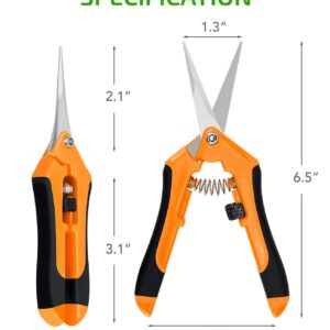 iPower GLPRNR6ORV1 6.5 Inch Gardening Pruning Shears Hand Scissors with Straight Stainless Steel Blades for Trimming Herbs, Flowers, Bonsai, 1-Pack, Orange