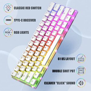 MIHIYIRY US Layout 60% Hot Swappable Mechanical Keyboard, RGB Backlit 61 Anti-ghosting Keys USB Wired Computer Keyboard Quick-Response Ergonomic Keyboard Suitable for Office and Games(Red Switch)