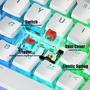 MIHIYIRY US Layout 60% Hot Swappable Mechanical Keyboard, RGB Backlit 61 Anti-ghosting Keys USB Wired Computer Keyboard Quick-Response Ergonomic Keyboard Suitable for Office and Games(Red Switch)