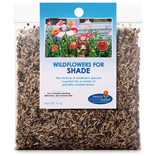 Partial Shade Wildflower Seeds Bulk - Open-Pollinated Wildflower Seed Mix Packet, No Fillers, Annual, Perennial Wildflower Seeds Year Round Planting - 4 oz