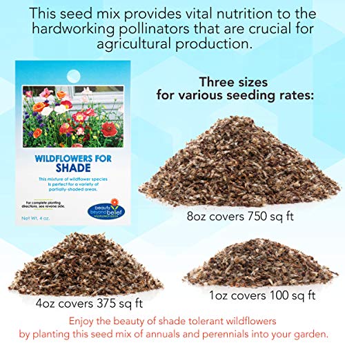 Partial Shade Wildflower Seeds Bulk - Open-Pollinated Wildflower Seed Mix Packet, No Fillers, Annual, Perennial Wildflower Seeds Year Round Planting - 4 oz