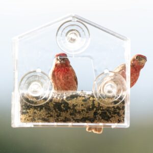 Perky-Pet 345 Clear Outdoor Window Bird Feeder with Strong Suction Cups – 1/2 Lb Seed Capacity