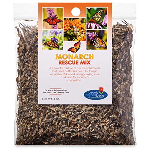 Monarch Butterfly Rescue Wildflower Seeds 4oz. Bulk Open-Pollinated Wildflower Seed Packet, No Fillers, Annual, Perennial Milkweed Seeds for Monarch Butterfly 4 oz