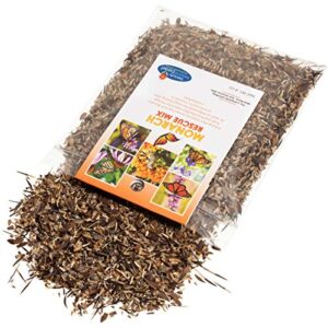 Monarch Butterfly Rescue Wildflower Seeds 4oz. Bulk Open-Pollinated Wildflower Seed Packet, No Fillers, Annual, Perennial Milkweed Seeds for Monarch Butterfly 4 oz