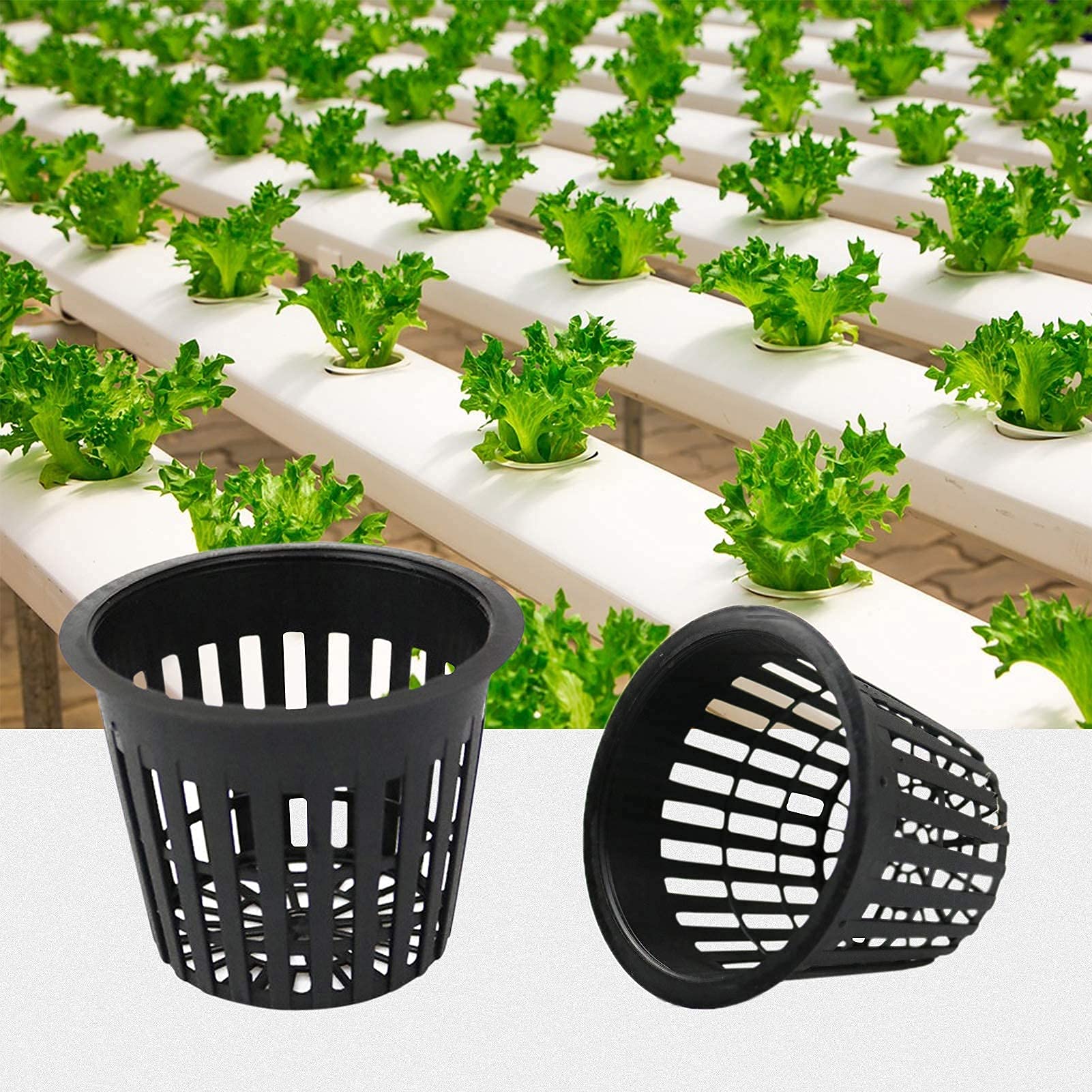 Business King 3 Inch Net Pots for Hydroponics 30 Packs with Plant Labels 30Pcs Heavy Duty Wide Mouth Net Cups Slotted Mesh Pot hydroponics Supplies