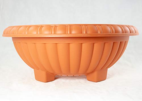 Calibonsai Japanese Plastic Bonsai Training Pot Home Garden Planter 13 inches x 13 inches x 5 inches - Orange