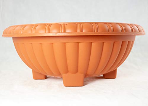 Calibonsai Japanese Plastic Bonsai Training Pot Home Garden Planter 13 inches x 13 inches x 5 inches - Orange