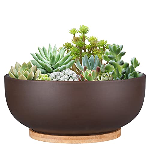 Thirtypot 10 Inch Terracotta Planter, Large Succulent Bonsai Planter Pot with Drainage Hole and Bamboo Saucer for Indoor Plants, Brown