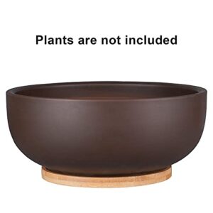 Thirtypot 10 Inch Terracotta Planter, Large Succulent Bonsai Planter Pot with Drainage Hole and Bamboo Saucer for Indoor Plants, Brown