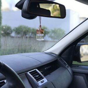 Rainier’s Gifts Car Diffuser Air Freshener (Lemongrass & Lime) - Scented Oil Diffuser, Fragrance Aromatherapy, Car Perfume & Deodorizer 0.2 fl oz/5.9ml