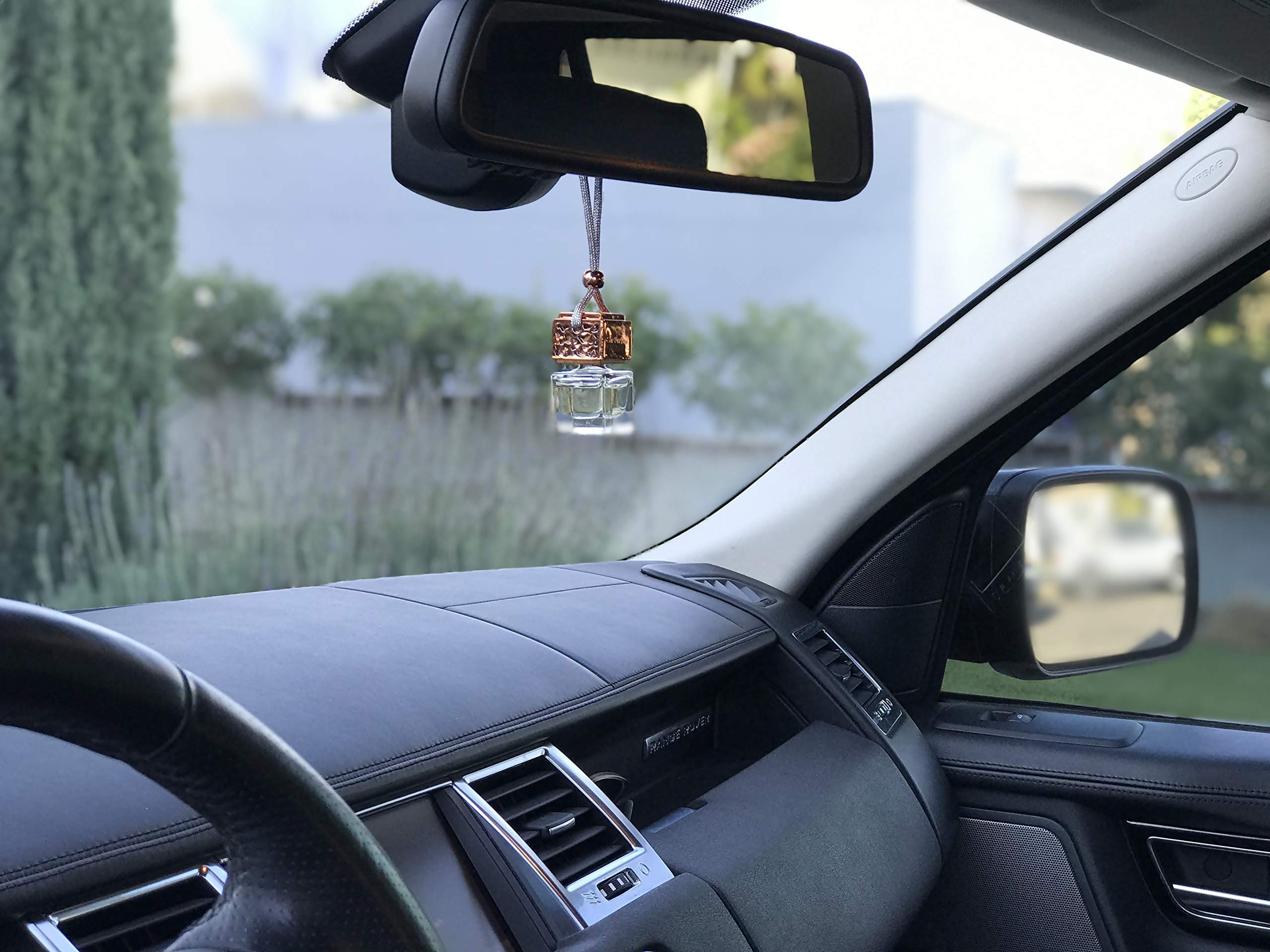 Rainier’s Gifts Car Diffuser Air Freshener (Lemongrass & Lime) - Scented Oil Diffuser, Fragrance Aromatherapy, Car Perfume & Deodorizer 0.2 fl oz/5.9ml