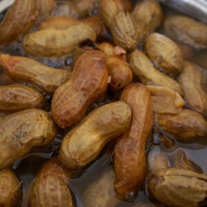 Amish Eco-Farm | Raw Peanuts in Shell, Virginia Grown by Hamptons Farms | Great for Boiling, Squirrels Feed, Birds Feed and Wildlife. (4lb Bag)