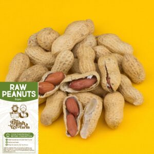 Amish Eco-Farm | Raw Peanuts in Shell, Virginia Grown by Hamptons Farms | Great for Boiling, Squirrels Feed, Birds Feed and Wildlife. (4lb Bag)