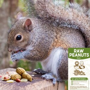 Amish Eco-Farm | Raw Peanuts in Shell, Virginia Grown by Hamptons Farms | Great for Boiling, Squirrels Feed, Birds Feed and Wildlife. (4lb Bag)