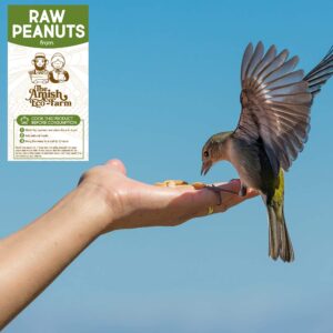 Amish Eco-Farm | Raw Peanuts in Shell, Virginia Grown by Hamptons Farms | Great for Boiling, Squirrels Feed, Birds Feed and Wildlife. (4lb Bag)