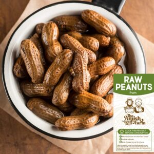 Amish Eco-Farm | Raw Peanuts in Shell, Virginia Grown by Hamptons Farms | Great for Boiling, Squirrels Feed, Birds Feed and Wildlife. (4lb Bag)