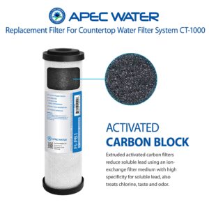 APEC Water Systems CT-1000 Countertop Drinking Water Filter System Replacement Filter (FI-PB1)