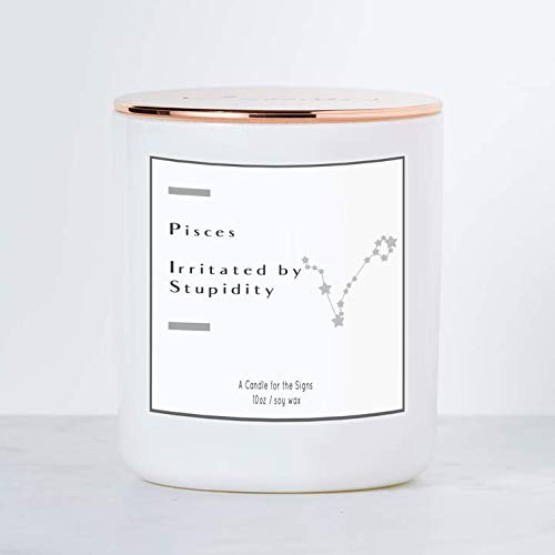 Pisces - Irritated by Stupidity - Luxe Scented Soy Candle.