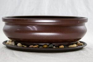calibonsai 9 inch oval heavy duty plastic bonsai/succulent pot + tray + rock + mesh combo