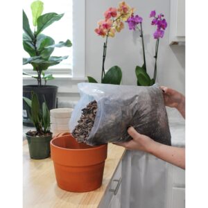 All Purpose Orchid Mix Potting Soil Indoor Plants (2 Quarts), Orchid Bark & Organic Perlite for Plants - Succulent Soil Potting Mix Indoor - Orchid Soil