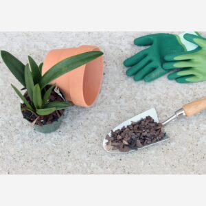 All Purpose Orchid Mix Potting Soil Indoor Plants (2 Quarts), Orchid Bark & Organic Perlite for Plants - Succulent Soil Potting Mix Indoor - Orchid Soil