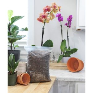 All Purpose Orchid Mix Potting Soil Indoor Plants (2 Quarts), Orchid Bark & Organic Perlite for Plants - Succulent Soil Potting Mix Indoor - Orchid Soil