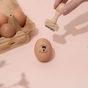 Stamp by Me | Egg Stamp | Chicken Egg Wooden Stamps | Personalized Rubber Stamper for Fresh Eggs | Custom Stamping | Egg Labels | Farm Stamp | Self Inking | Black Ink | Unique Designs| Mini Logo Stamp