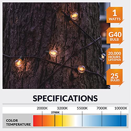 Newhouse Lighting 25 Pack LED Clear G40 Globe Light Bulbs for Outdoor String Lights Fits E12 and C7 Base 1.5 Inch Light Bulbs G40 Replacement Bulbs for Patio Lights (G40LED25)