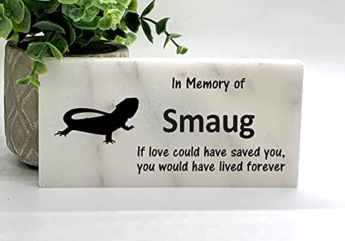 Bearded Dragon Memorial Stone - Real Stone Personalized by Florida-Funshine