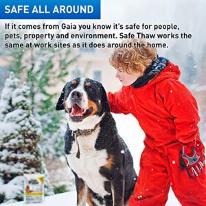 Safe Thaw Industrial Strength 100% Salt/Chloride-Free, Pet/Paw-Safe Snow & Ice Melter and Traction Agent. Use on Concrete, Asphalt, Roofs & On Any Surface, 30 Pound FlexiPail