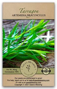 gaea's blessing seeds - tarragon seeds - heirloom non-gmo seeds with easy to follow instructions - open-pollinated herb seeds germination rate 91%