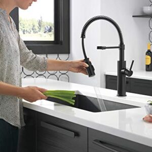 Delta Faucet Antoni Black Kitchen with Pull Down Sprayer, Commercial Style Sink Faucet, Faucets for Sinks, Single-Handle, Magnetic Docking Spray Head, Matte 18803-BL-DST