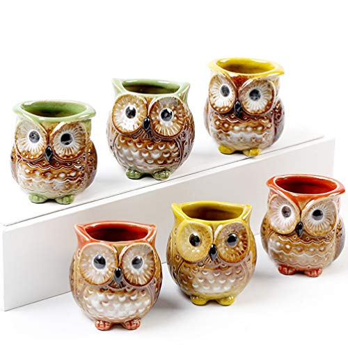 Cabilock 6 Pcs Owl Flower Pot Owl Ceramic Succulent Planter Pots Window Planter Mini Flower Planter Mini Succulent Pot Window Flower Pot Bonsai Pot Succulent Vase Indoor Ceramics Animal