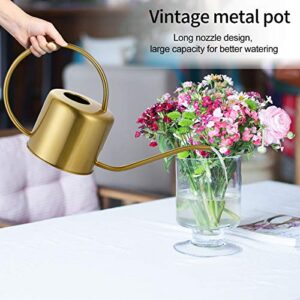 Long Spout Watering Can Nordic Style Brushed Stainless Steel Plant Watering Pot for Indoor and Outdoor Garden House Flower Bonsai Plant (40oz/1300ml) (1 Golden)