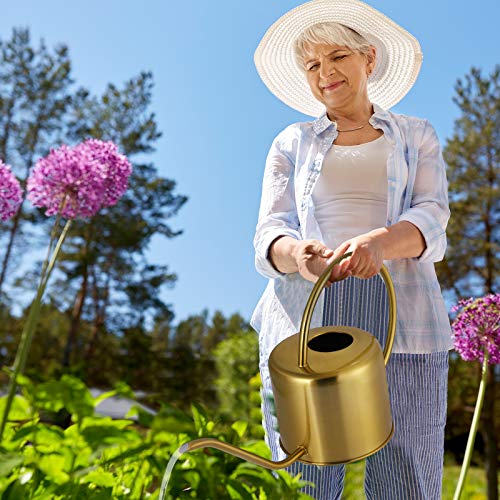 Long Spout Watering Can Nordic Style Brushed Stainless Steel Plant Watering Pot for Indoor and Outdoor Garden House Flower Bonsai Plant (40oz/1300ml) (1 Golden)