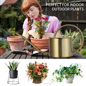 Long Spout Watering Can Nordic Style Brushed Stainless Steel Plant Watering Pot for Indoor and Outdoor Garden House Flower Bonsai Plant (40oz/1300ml) (1 Golden)