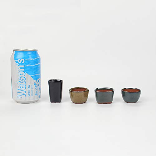 Happy Bonsai 12 Mini Glazed Pots 1.4 Inch