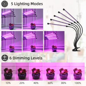 yoyomax Grow Light Plant Lights for Indoor Plants Full Spectrum LED Growing Lamps with Timer for House Greenhouse Seed Starting Succulent Growth Garden Seedlings (5 Heads)
