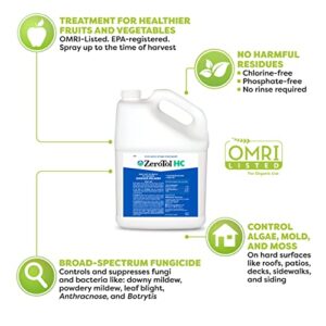 BioSafe Systems ZeroTol HC, Broad Spectrum Algaecide, Bactericide, and Fungicide, Peroxyacetic Acid, Kills Mold, Single 6200-1, 1 Gallon, Case of 4