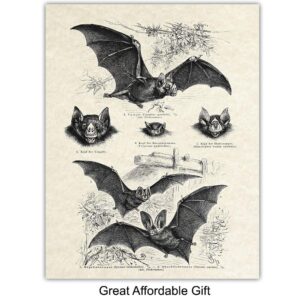 Bats Wall Decor - Bat Decorations - Bat Decor for Home - Creepy Gothic Wall Art - Goth Wall Decor - Pagan Gifts - Gothic Decor